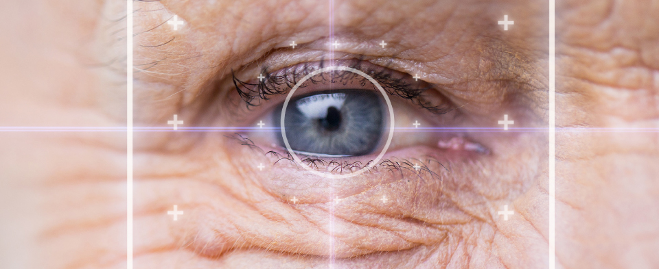 macular hole treatment at exeter eye by experienced ophthalmic surgeons macular hole treatment at exeter eye by experienced ophthalmic surgeons